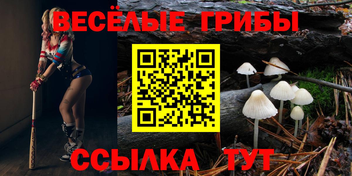 Псилоцибиновые грибы мицелий Кувандык